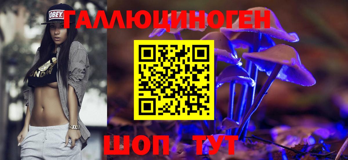 Псилоцибиновые грибы Psilocybine cubensis Заводоуковск