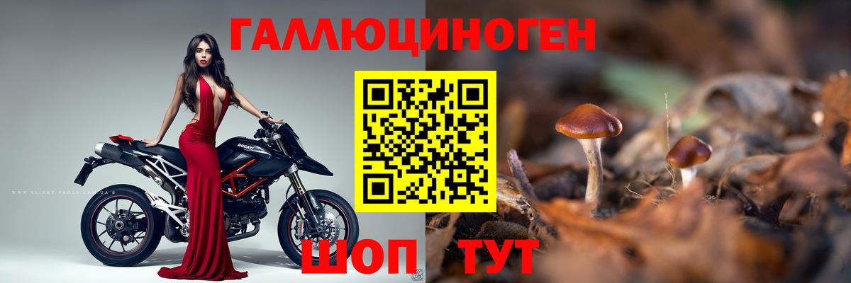 Галлюциногенные грибы ЛСД  Вход с VPN  Псилоцибиновые грибы Magic Shrooms  Заводоуковск 