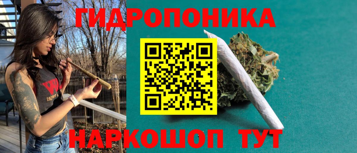 Бошки марихуана OG Kush  МАРИХУАНА VHQ  Вход с VPN  Бошки марихуана марихуана  Заводоуковск  Бошки марихуана Ganja 